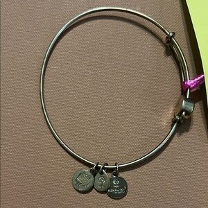 Alex and Ani Silver Charm Bracelet